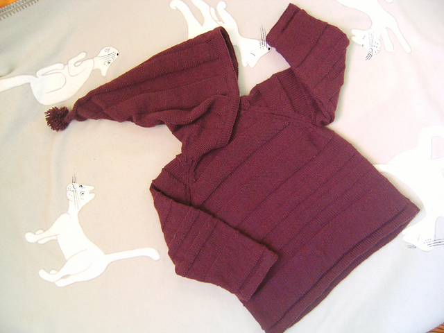 Hooded Pullover 010-T8-366