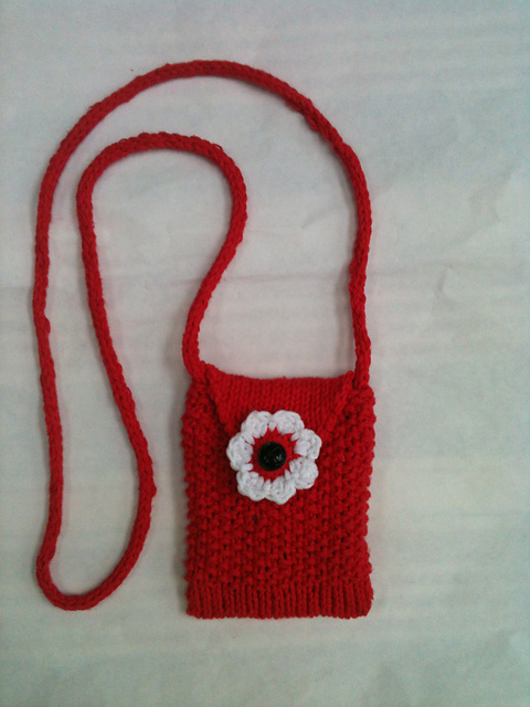 Cell Phone Carry Case