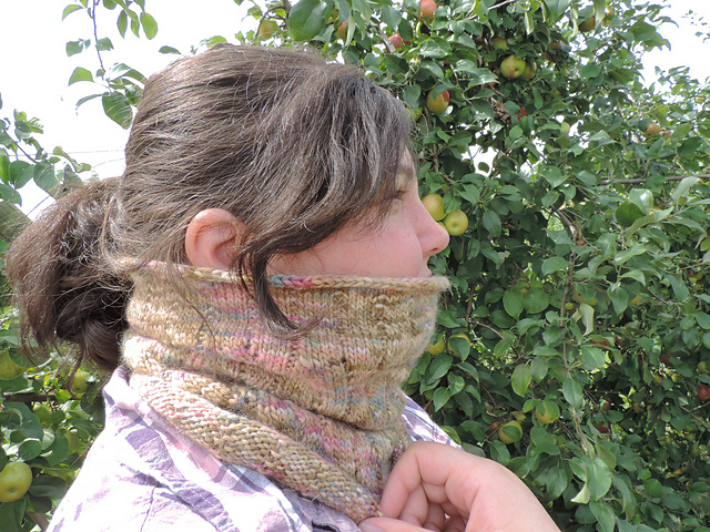 Mock Apple Pie Cowl