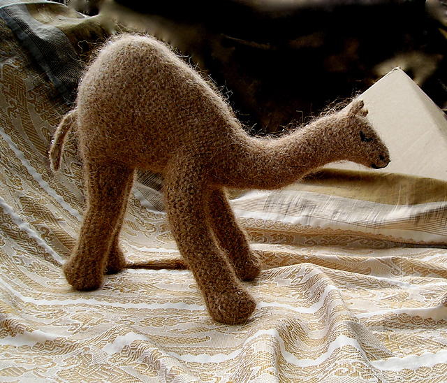 Caravan Camel