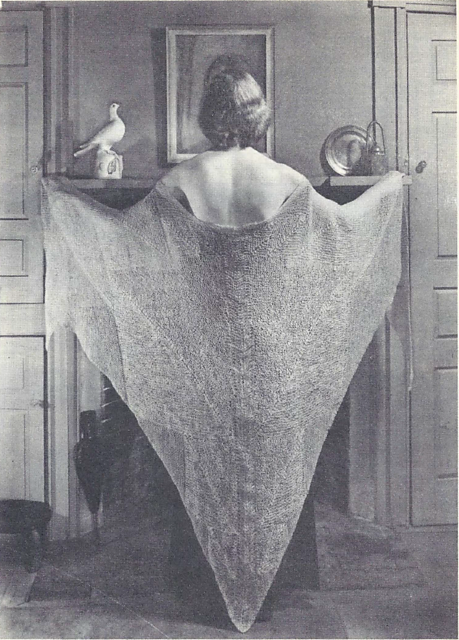 Moth and Moonlight