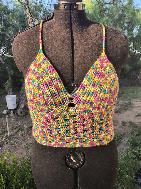 Zig Zag Fans Crop Top