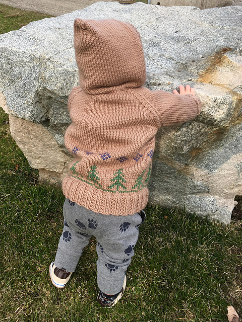 Backwoods Baby Sweater