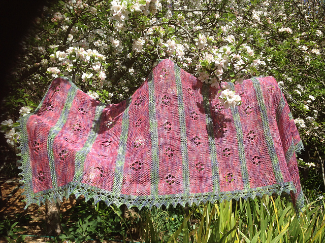 Spring Blossoms