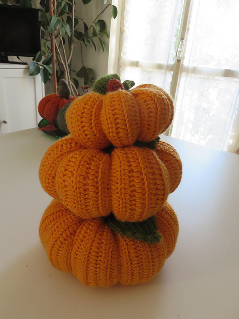 Zucca in 3 misure