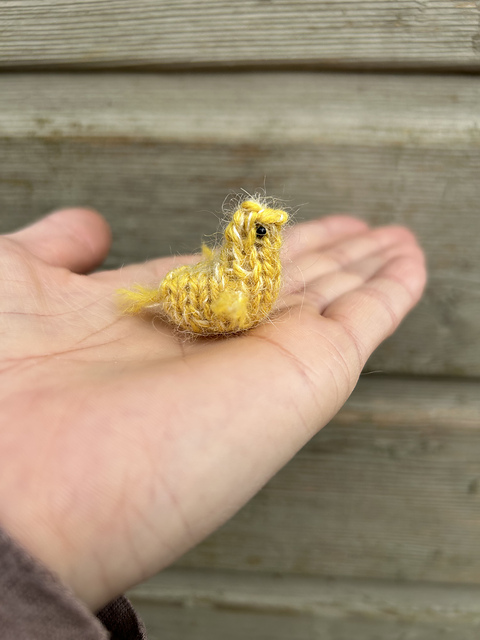 Little Chick