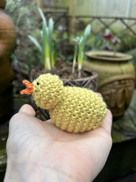 Chick Easter Cover
