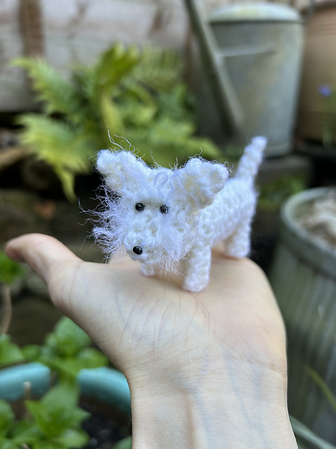 West Highland Terrier