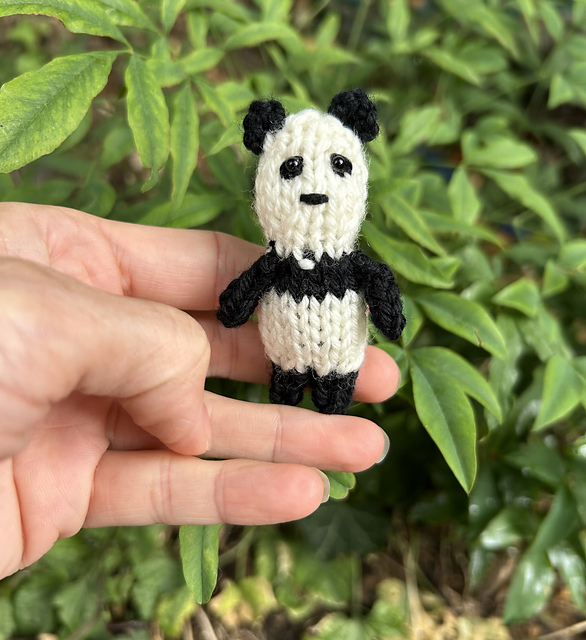 Little Panda
