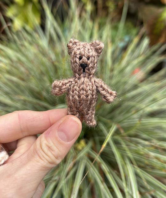 Pocket bear