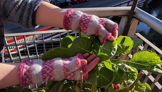 Elsie Mitts