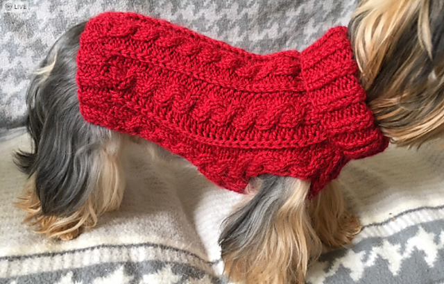 Red Wine Cabled Dog Sweater