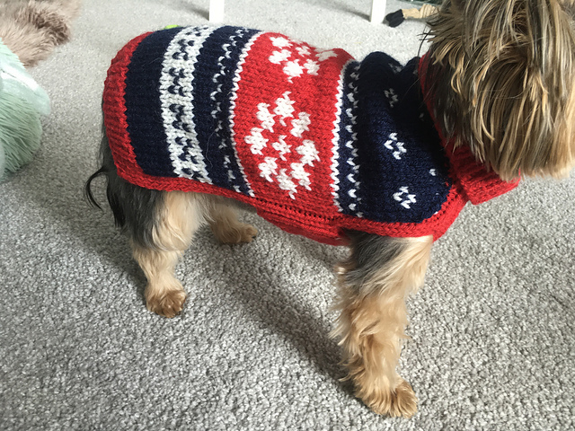 Nordic Dog Sweater