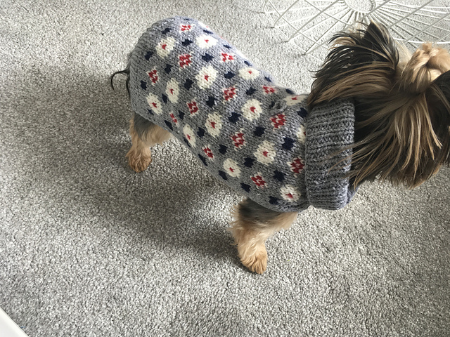 Checker Dog Sweater