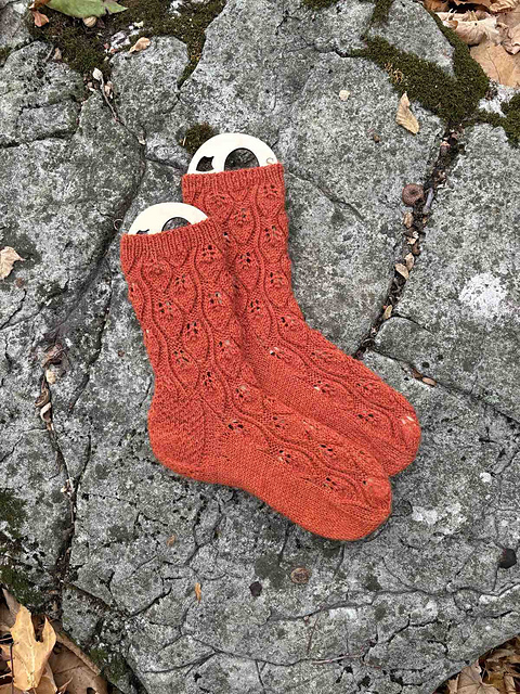 Follow the Leaves Socks