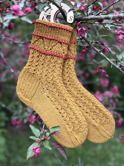 Sunshine Socks