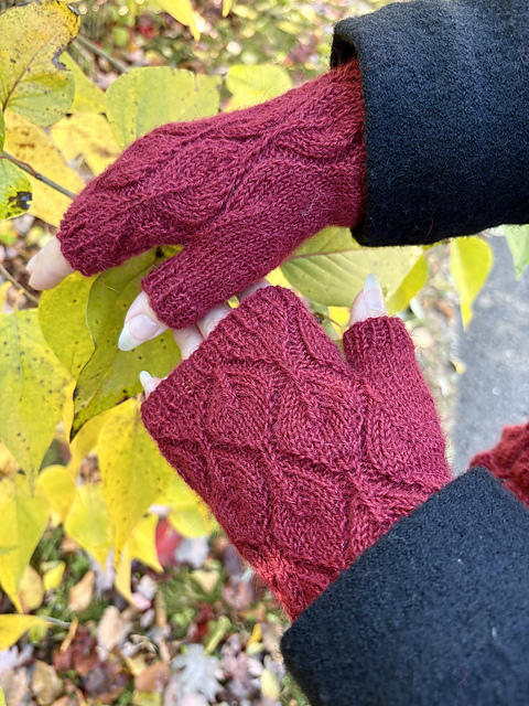 Fingerless Mitts with Leaves