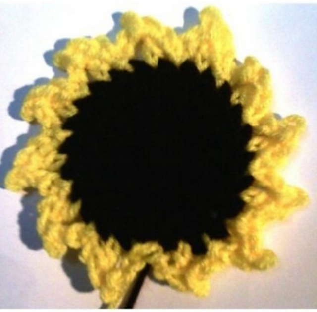 Sunflower Coasters & Hotpads