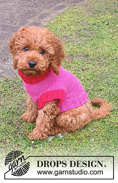 245-32 Good Girl Sweater