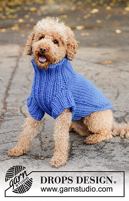 Ravelry: 0-81 Dog Sweater pattern by DROPS design