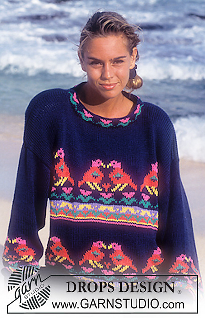29-21 Jumper with bird pattern borders