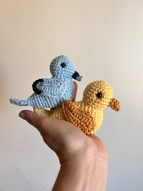 Bird/Passarinho