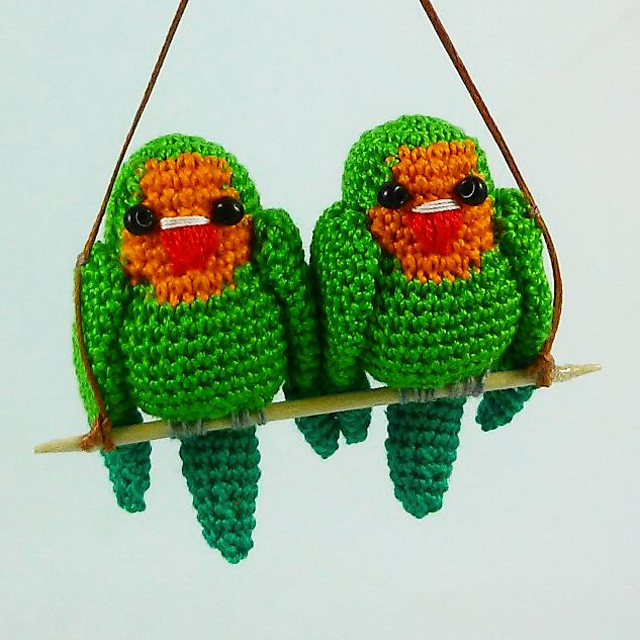 Pareja de Agaporni