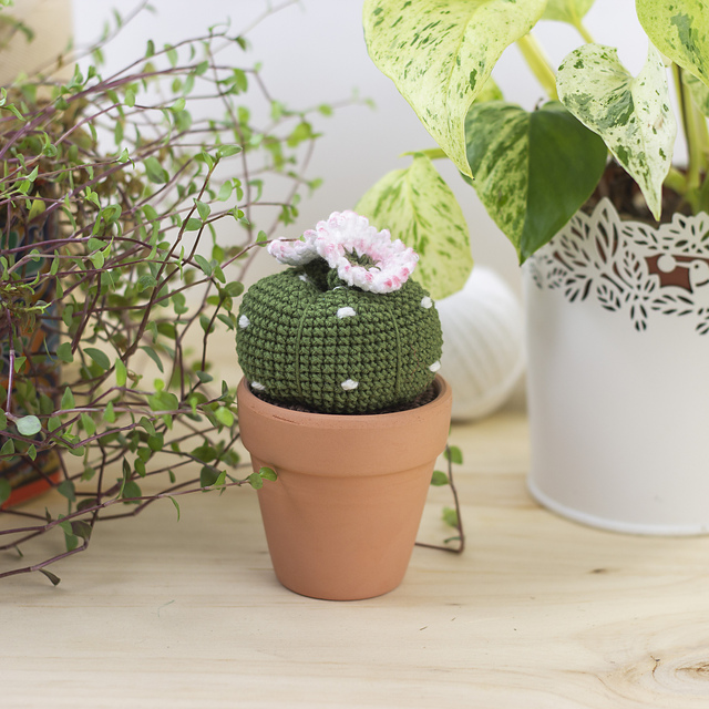 Amigurumi Cactus Lophophora