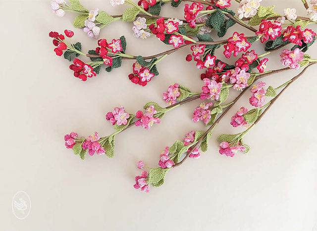 Apple Blossom