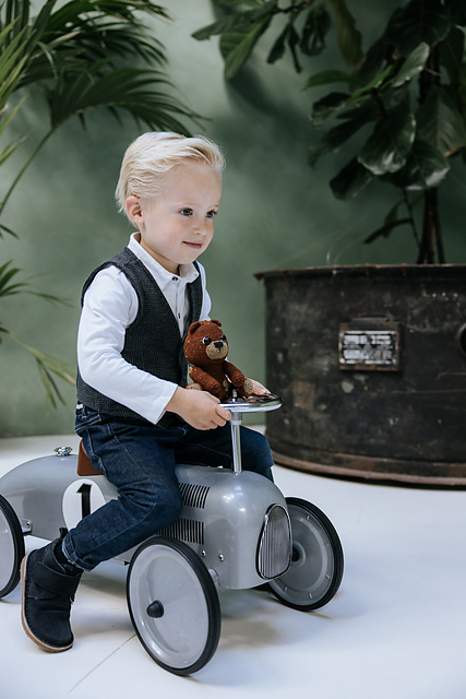 Tweed Bear