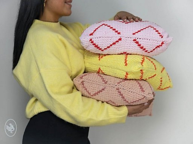 Velvet Cushion