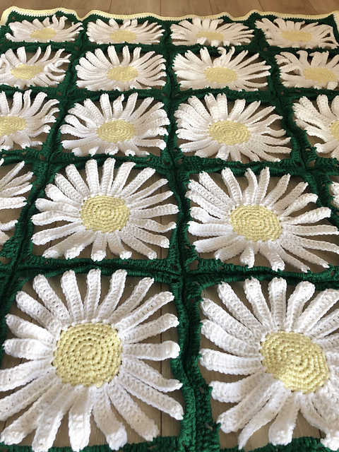 The summer daisies blanket