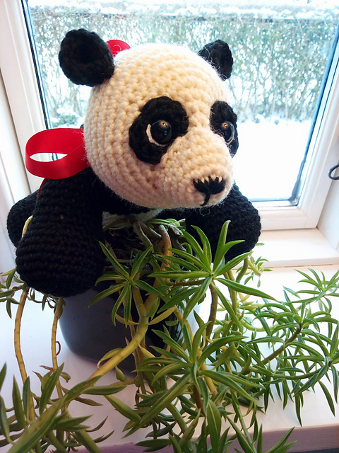 Sweet Baby Panda