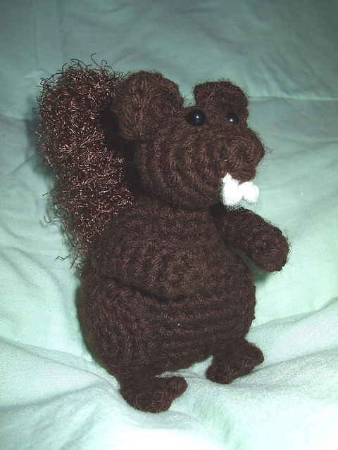 Squirrel