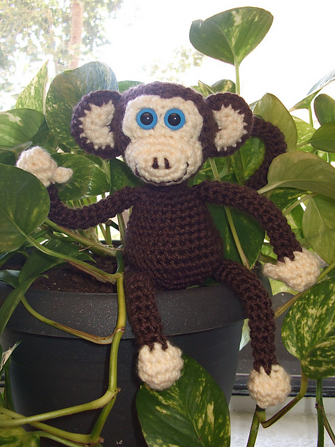 Monkey