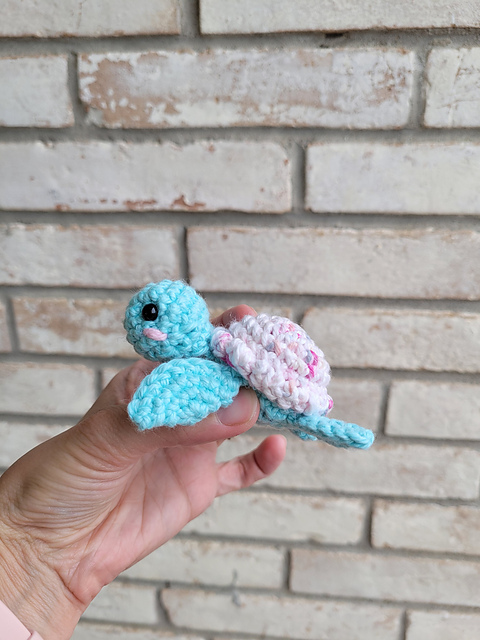 Lillian the Pocket Turtle