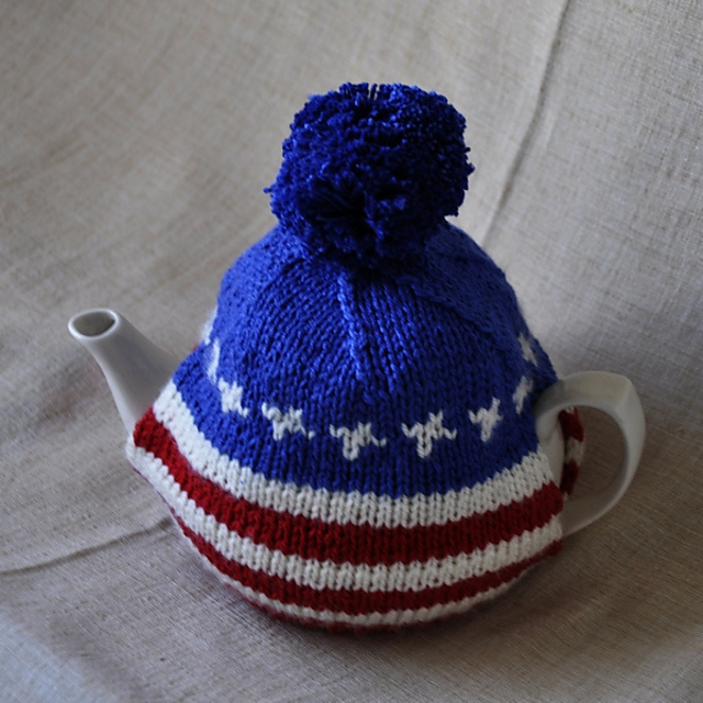 USA hat cozy
