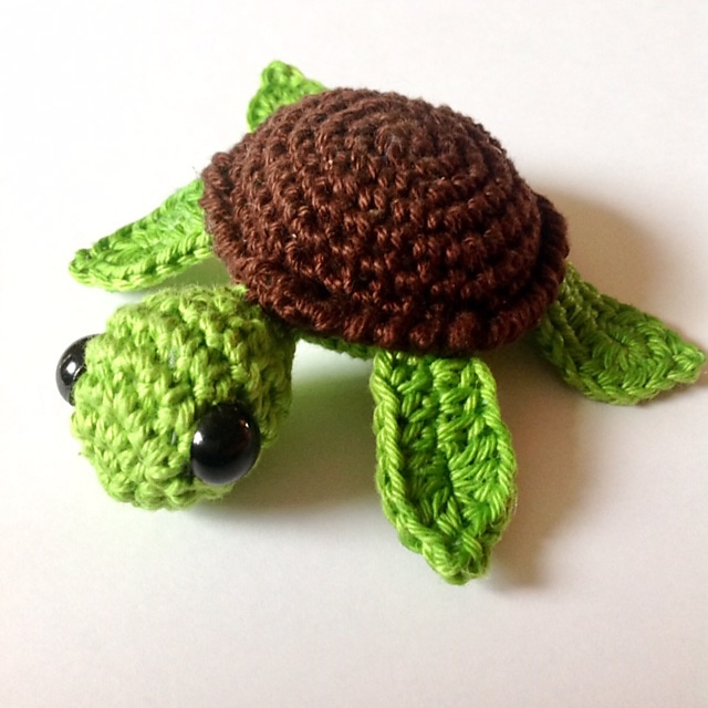 No Fuss Turtle
