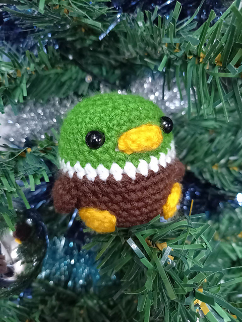 Henry the Mallard Duck