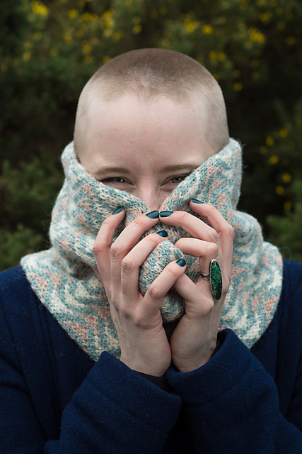 Stevenson Cowl