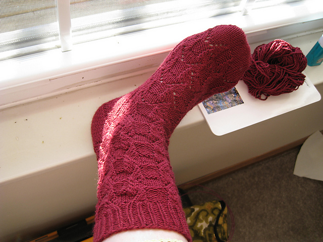 Small Wings Socks