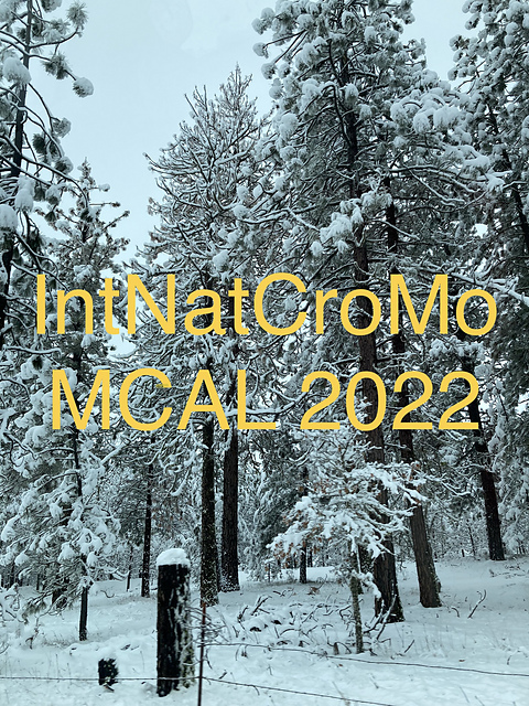 IntNatCroMo MCAL 2022