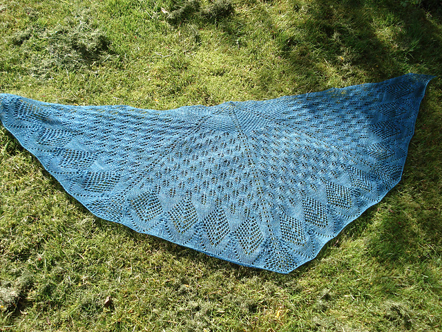 Rachel Shawl