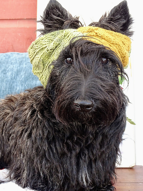 Twisted Leaf Headband