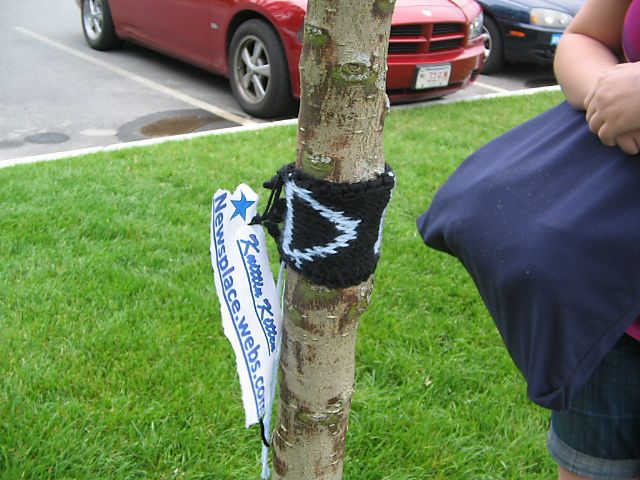 Dr. Who Yarn Bombing