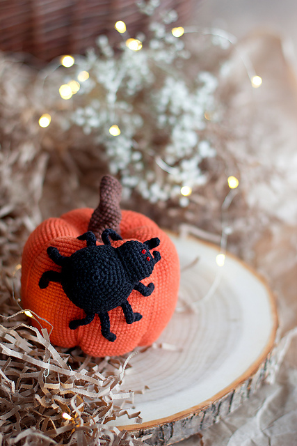Pumpkin and spider