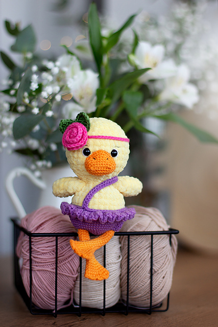 Duck in clothes