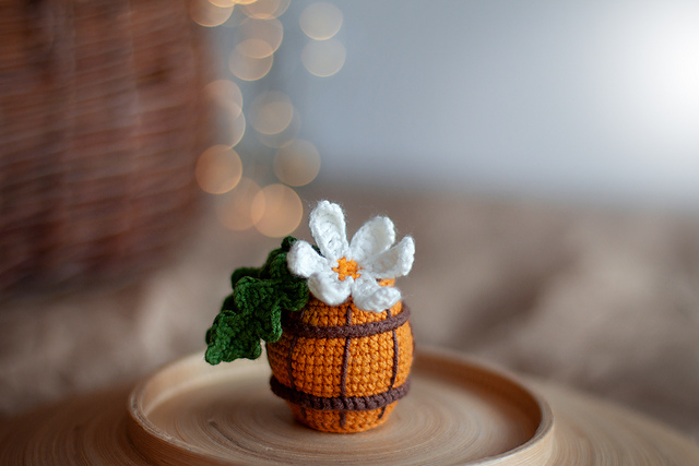A barrel of Chamomile