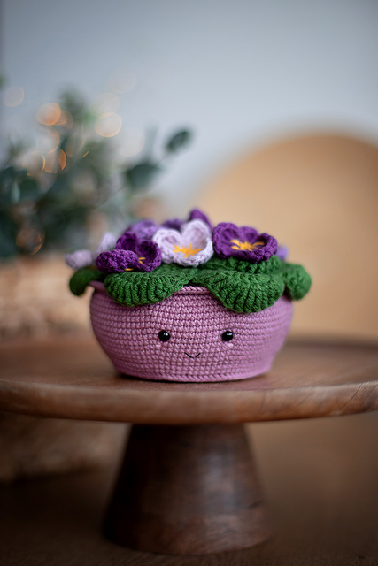 VIOLET IN THE POT