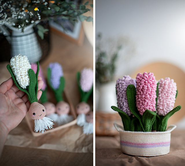 Hyacinth in basket